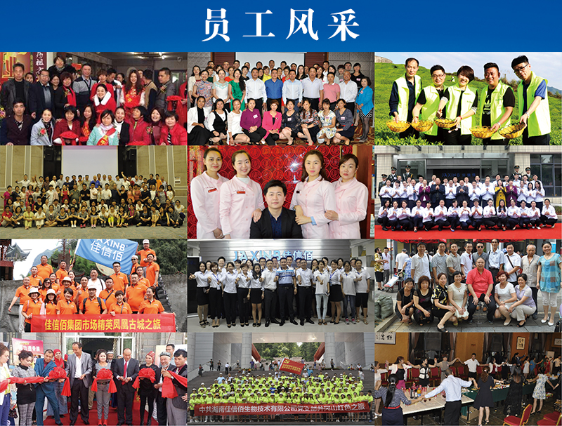 員工風(fēng)采